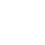 Custom Icon 1